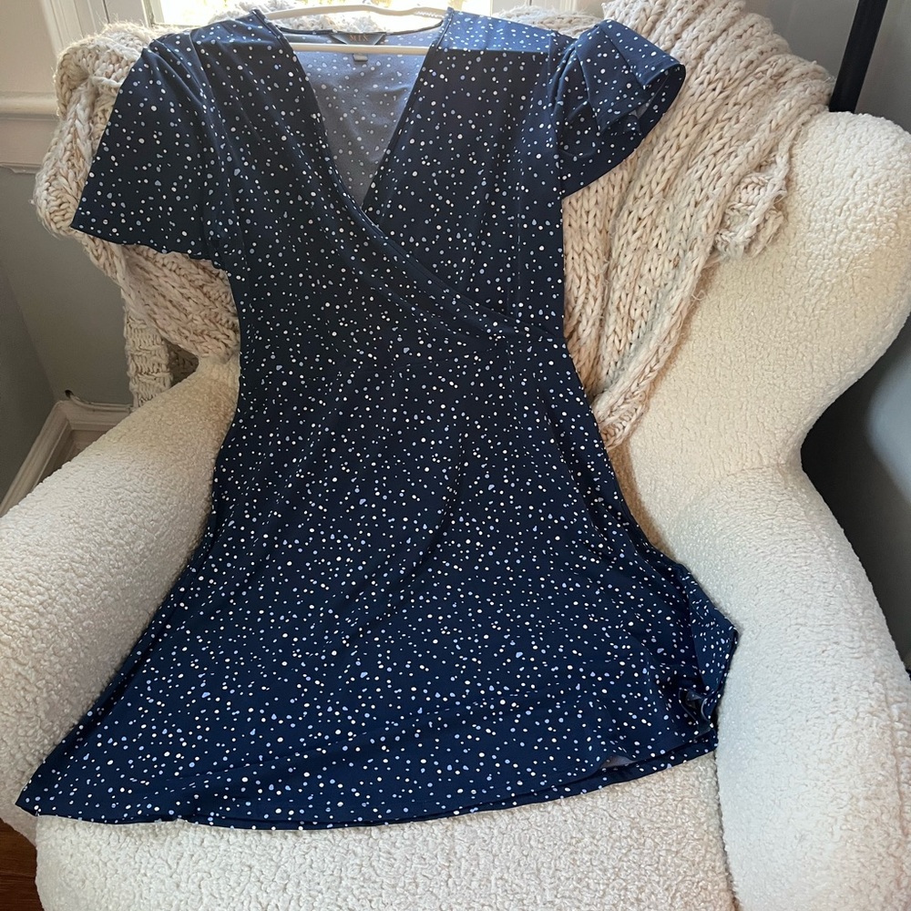 41 Hawthorn Navy and White Dot Dress